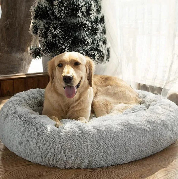 Comfy Calming Dog/Cat Bed